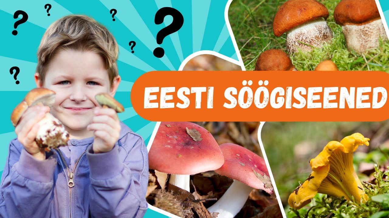 Kas tunned Eestimaa söögiseeni?
