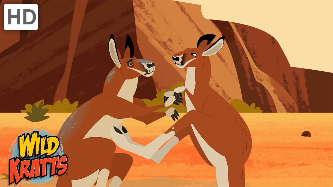 Desert Creatures | Kangaroos, Lizards, Snakes + more! [Full Episodes] Wild Kratts
