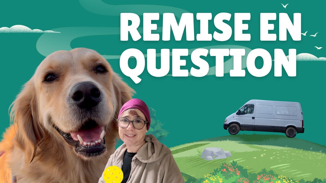 🐾 🚐 “Vanlife, chien et santé : une journée difficile