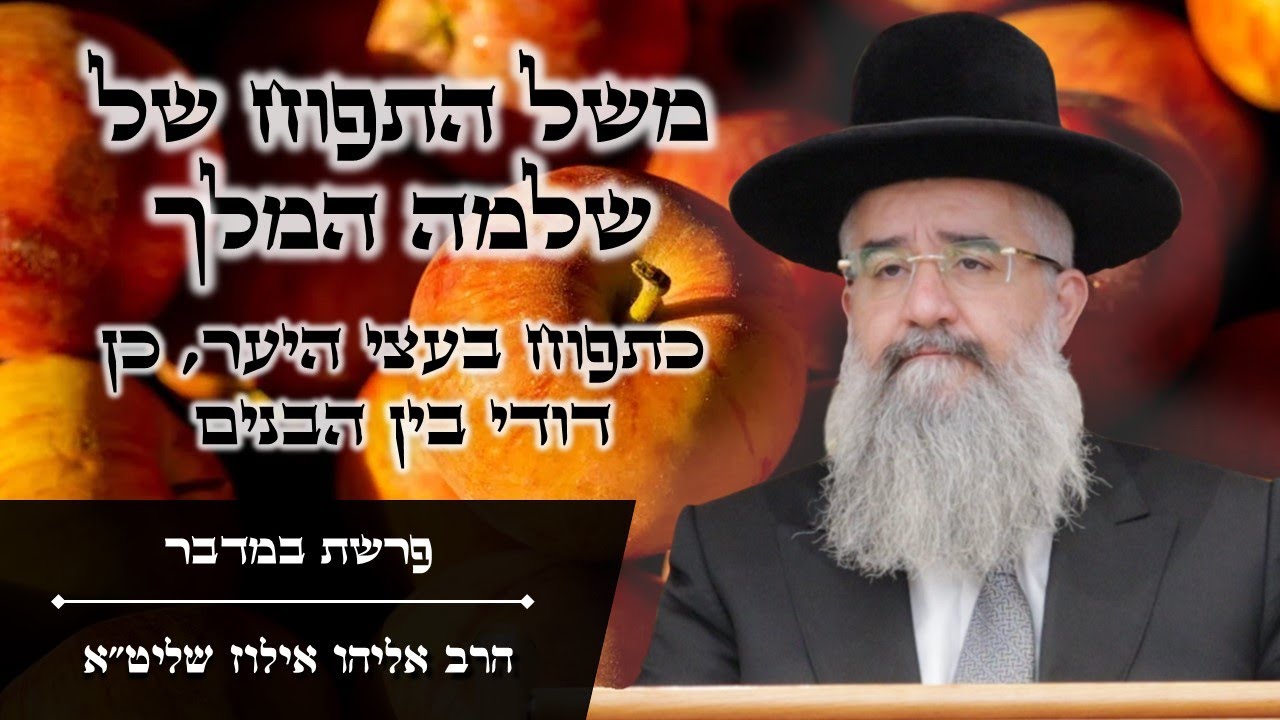 משל התפוח של שלמה המלך - כתפוח בעצי היער, כן דודי בין הבנים | פרשת במדבר מאת הרב אליהו אילוז שליט