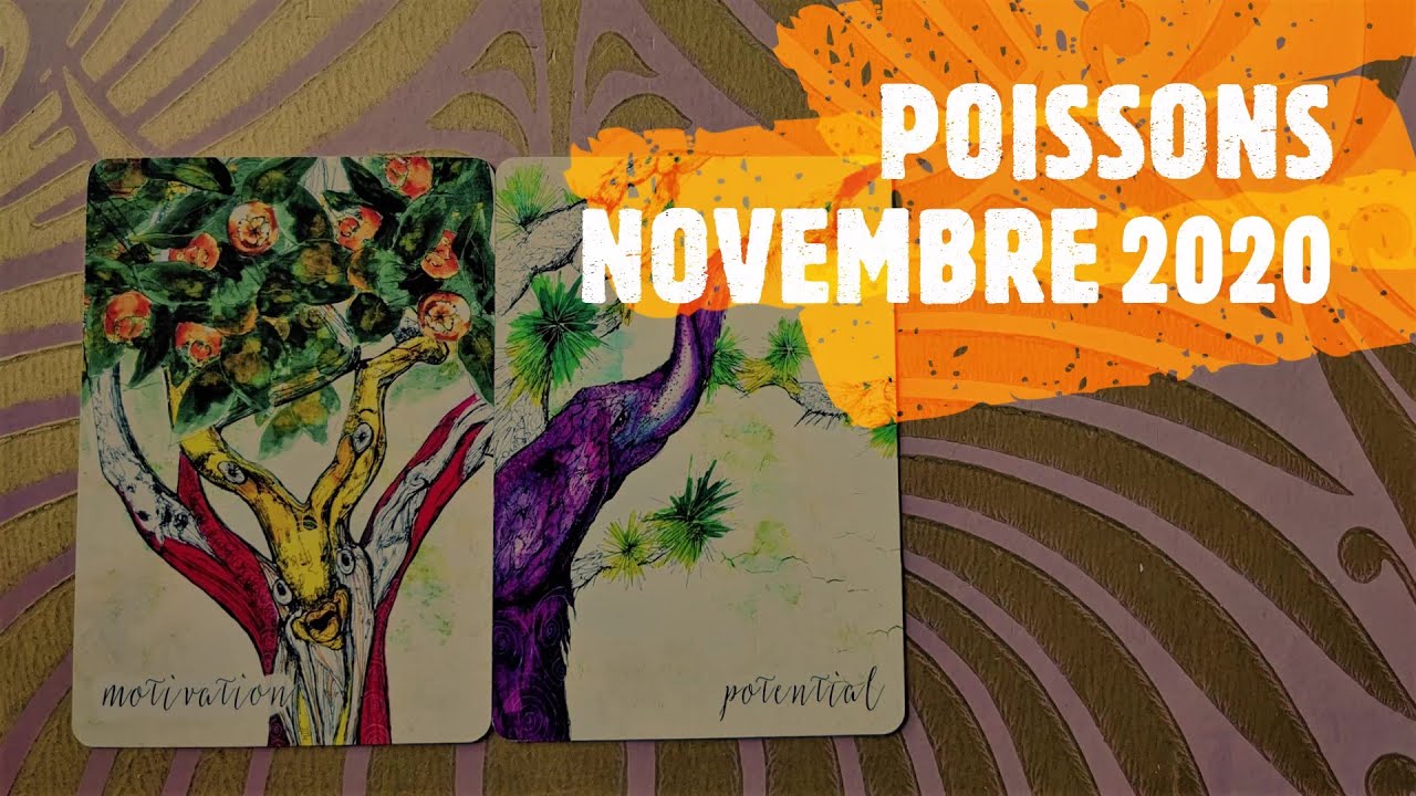 POISSONS NOVEMBRE 2020 #guidancepoisson2020 #poissontarot2020
