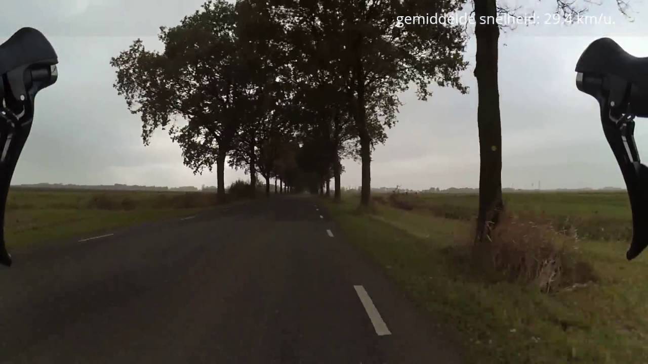©TB - Slochteren - Woudbloem 01.