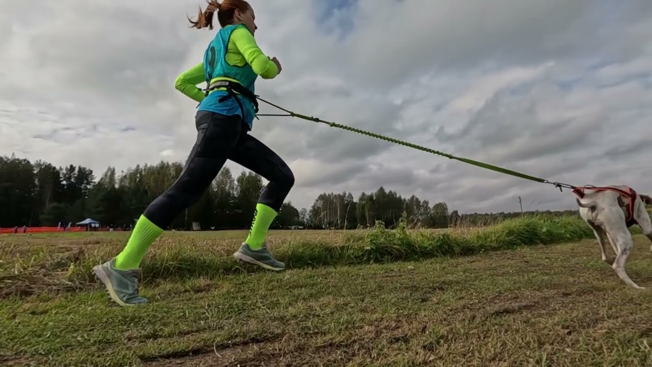 ZKK Rudens Apļa Kross 2025