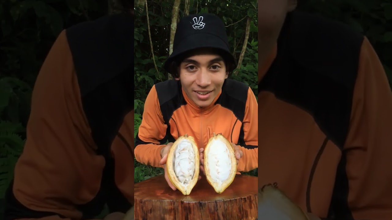 von der Kakao bohne zu der Schokolade : jungle Fr&uuml;chte Kakao Verarbeitung #jungelfruitz
