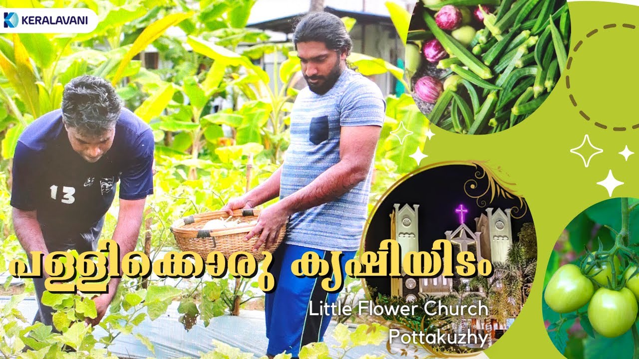 പള്ളിക്കൊരു കൃഷിയിടം | വരാപ്പുഴ അതിരൂപത | Little Flower Church | Pottakuzhy |Keralavani