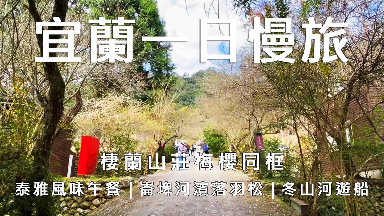 【 宜蘭一日慢旅 】這團只要$808？梅櫻同框美到爆！隱藏版台版羊角村！田媽媽泰雅風味午餐｜崙埤河濱落羽松｜冬山舊河道遊船 #宜蘭一日遊 #棲蘭山莊 #冬山河生態綠舟 #冬山舊河港燈節 #落羽松