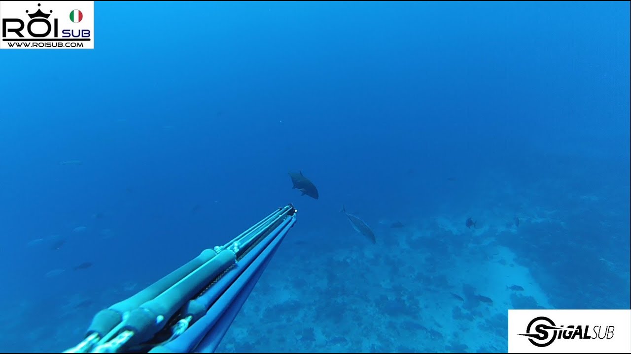 Chasse sous marine -- Marc Breysse MADAGASCAR 2013 -- TEAM ROISUB SIGALSUB PESCASUB