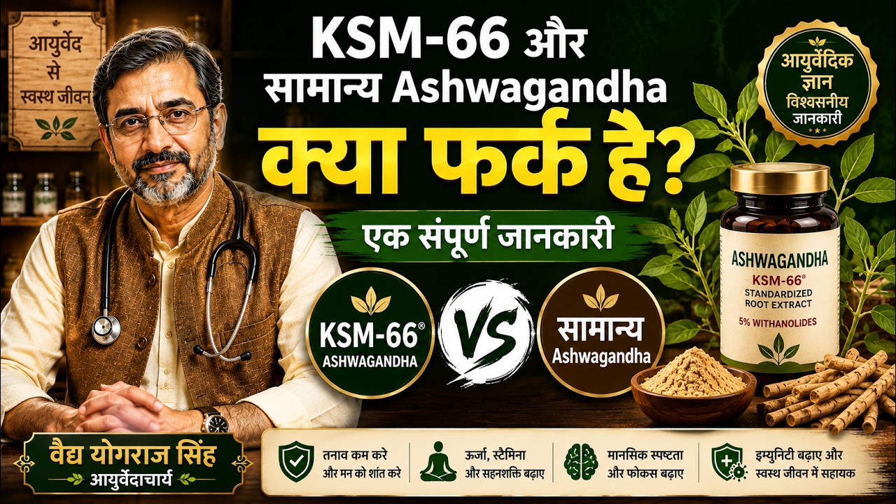 Ashwagandha vs Ashwagandha KSM 66 | Which One Is Better?