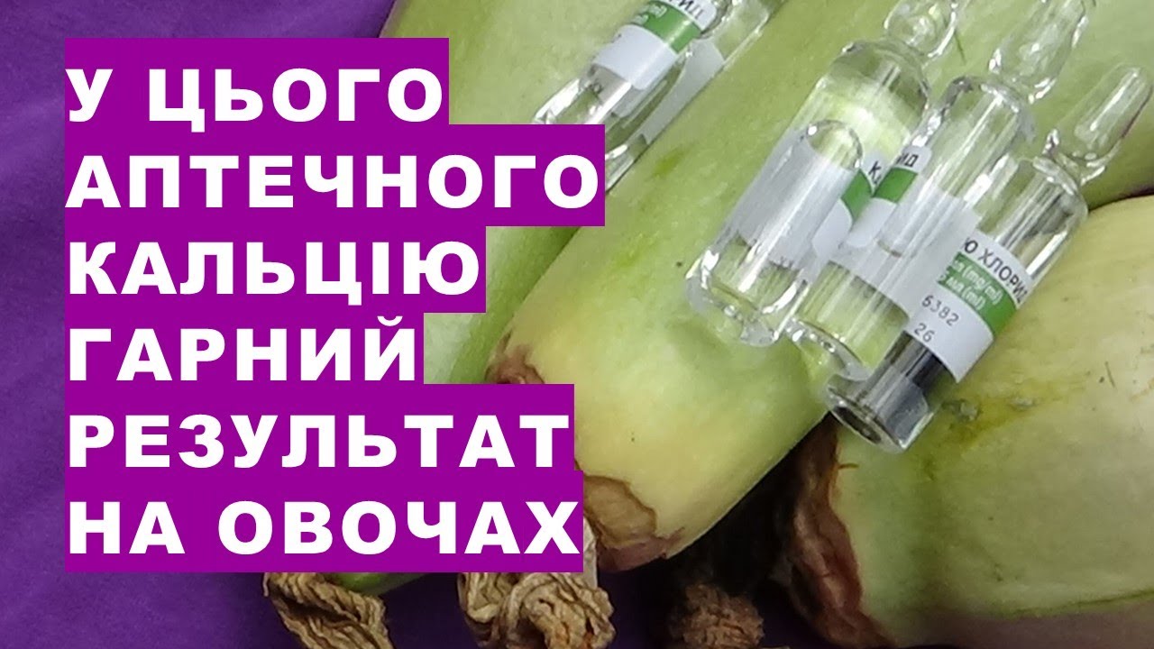 Ось цей аптечний препарат замінює в підживленні кабачків, помідорів добриво кальцію