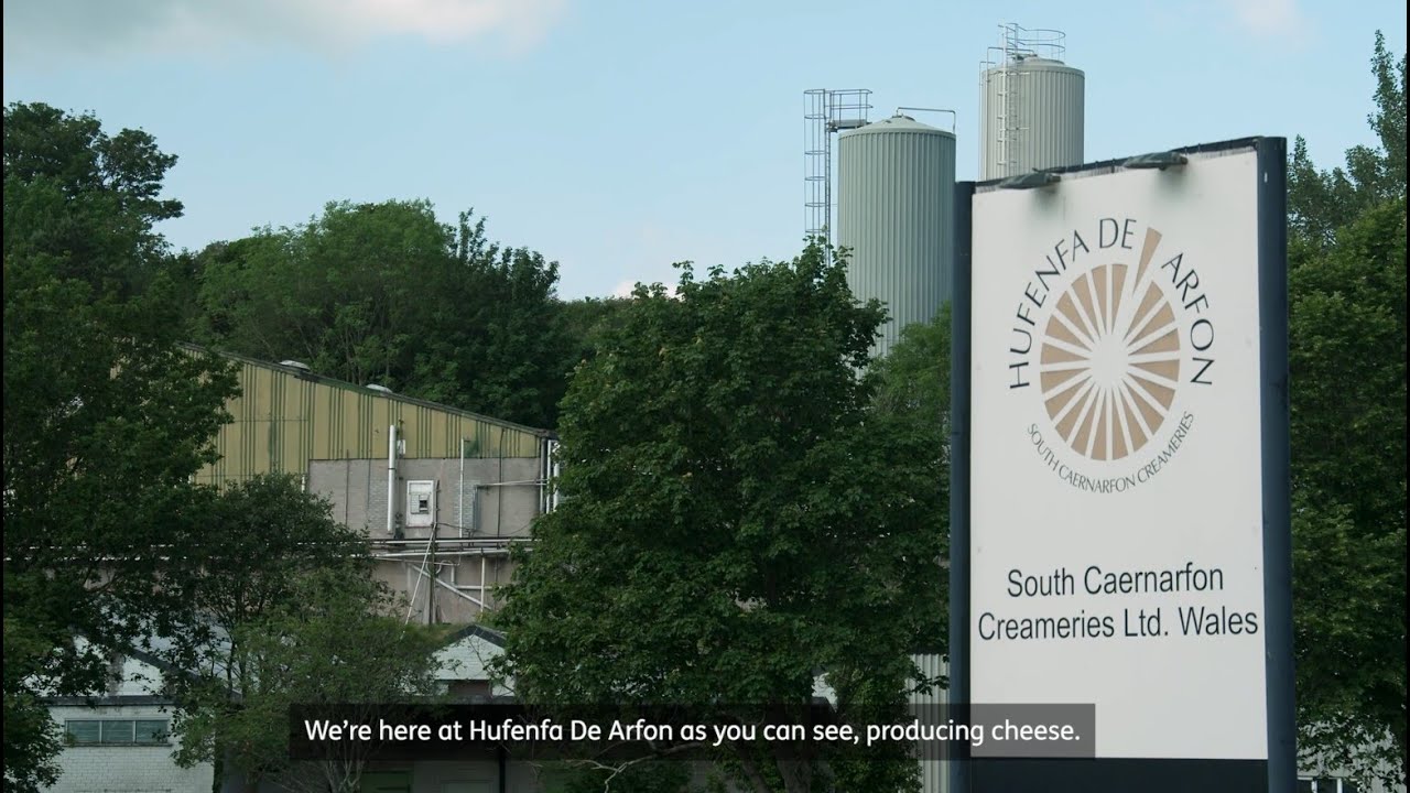 South Caernarfon Creameries / Hufenfa De Arfon