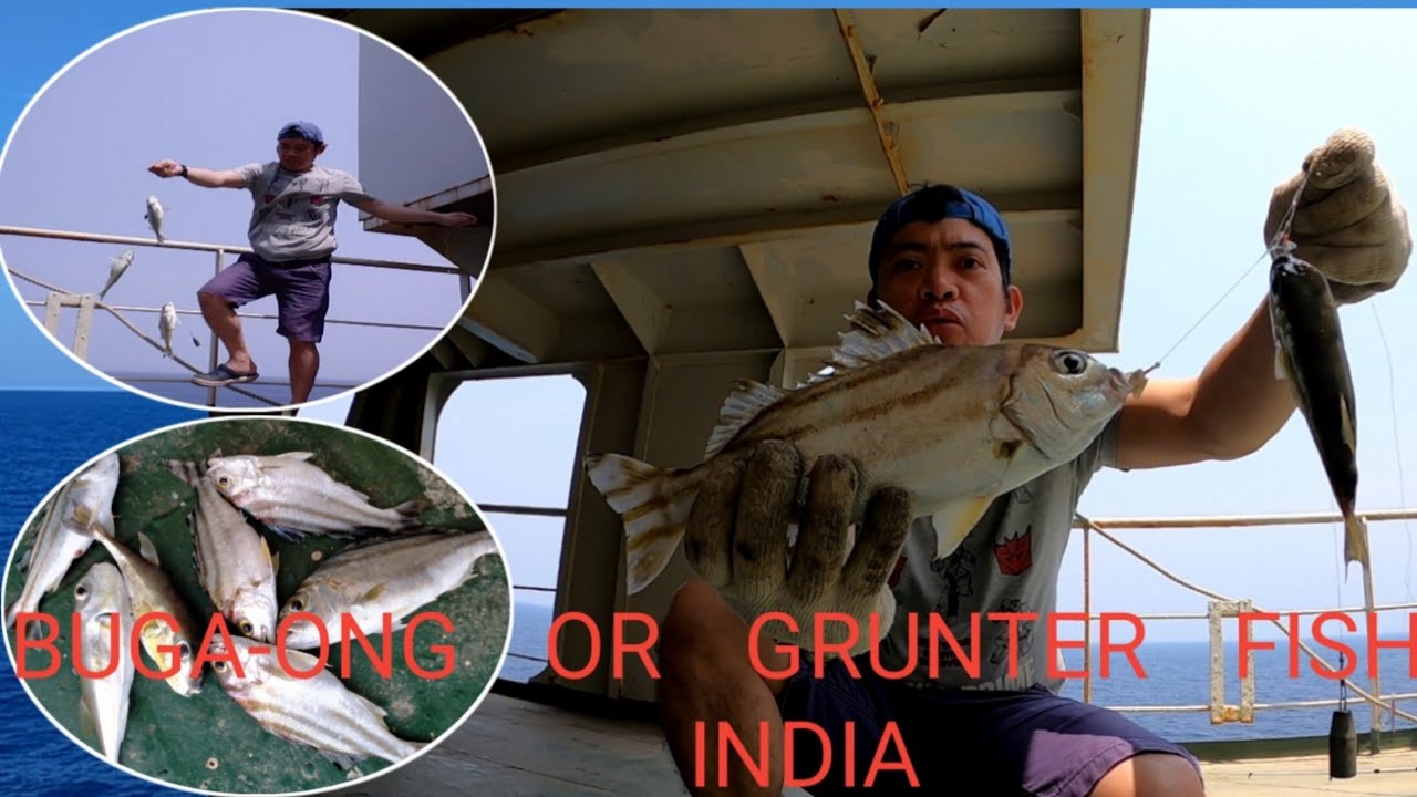 BUGA-ONG/CRESCENT GRUNTER FISHING IN INDIA | RJ BHABES