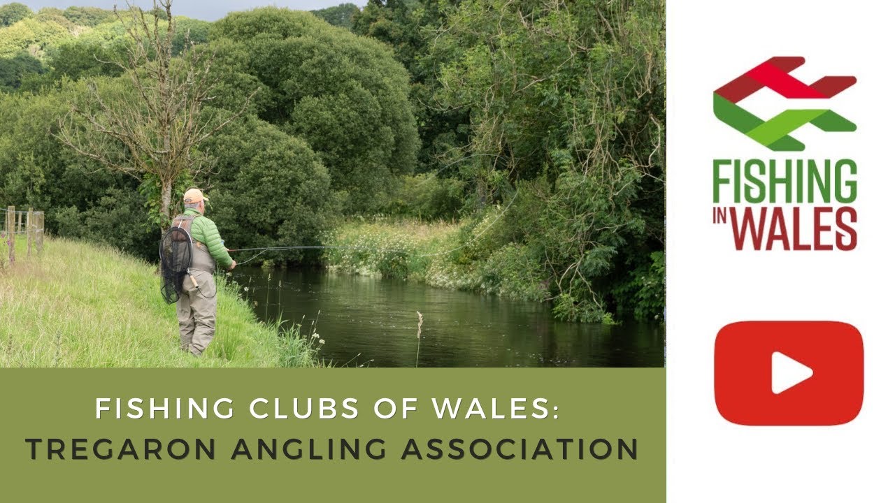 Fishing Clubs of Wales: Tregaron Angling Association - River Teifi & Mountain Lake Fishing