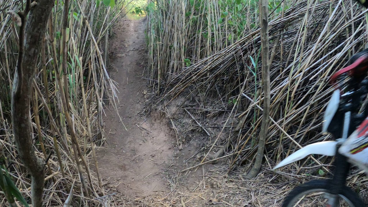 Enduro - Bosque/Trepadas/Climbs(3)