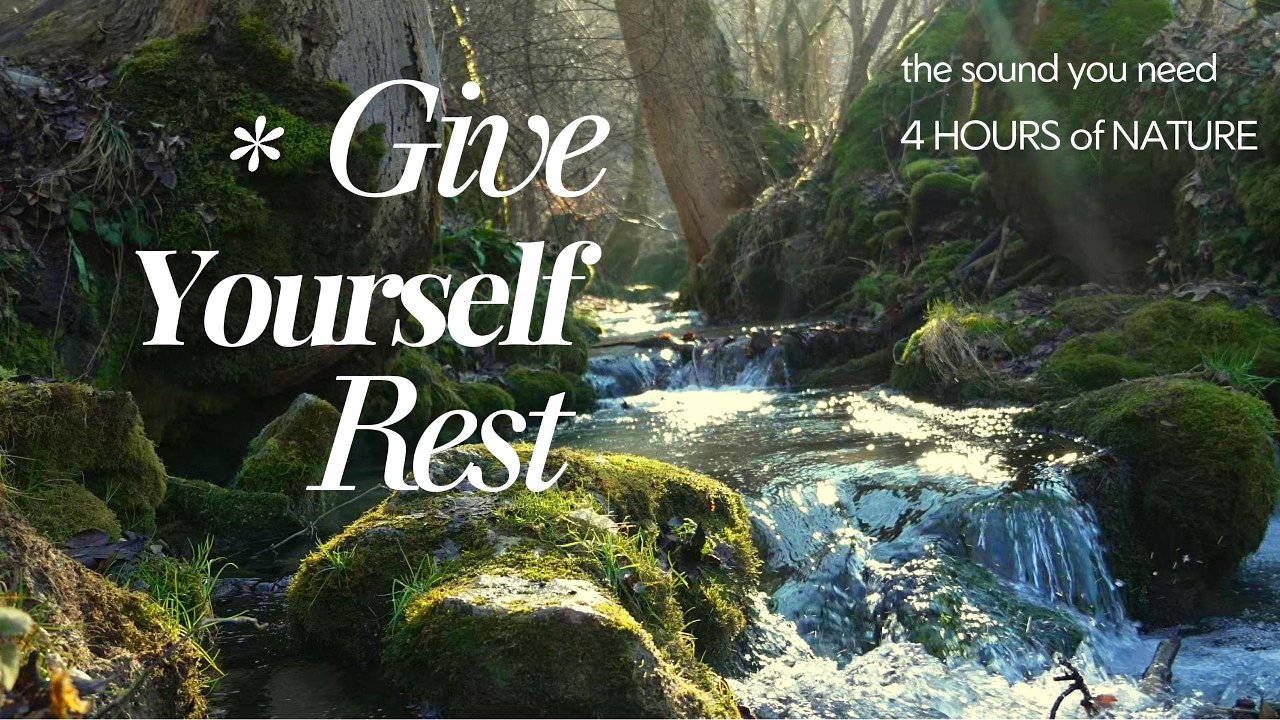 4 Hours Calm River Ambience - Perfect for Study, Sleep & Meditation