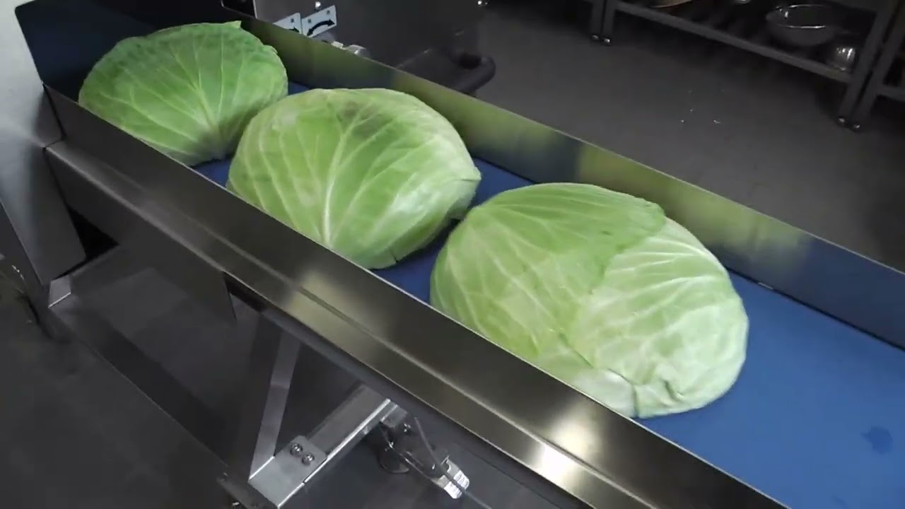ECD 403T Cabbage cut in horizontal 1D 1mm