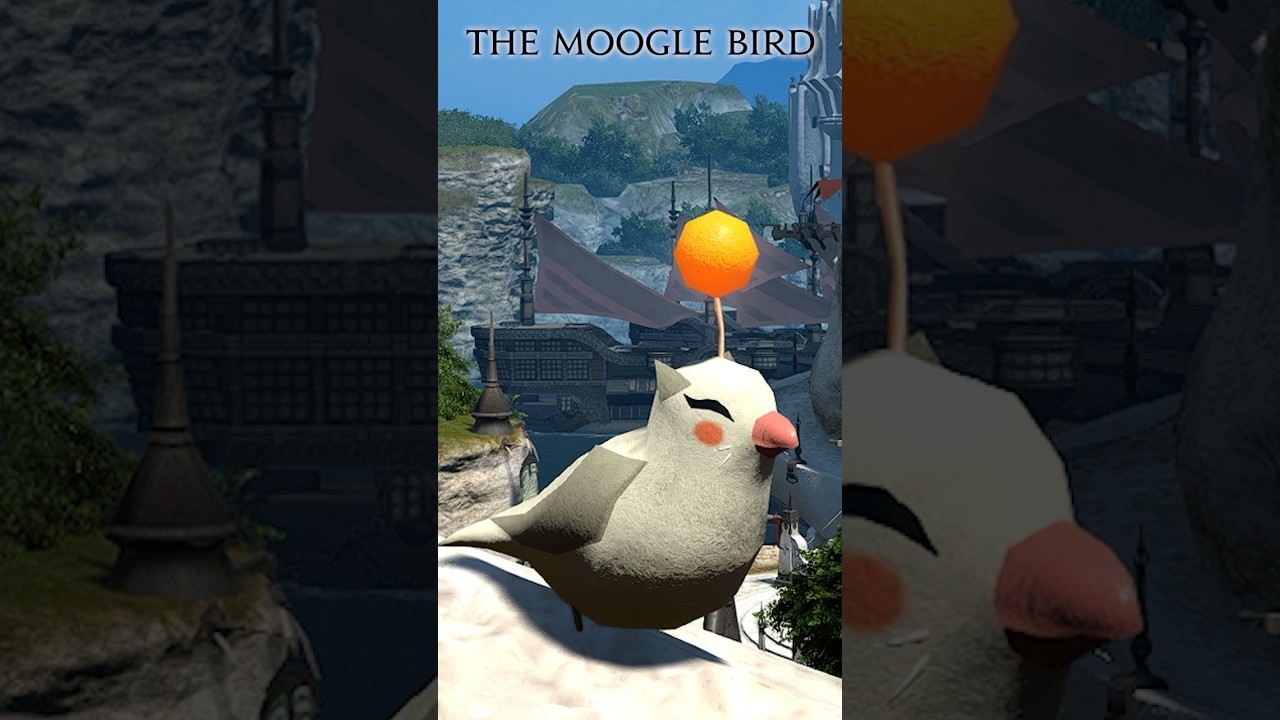 The Moogle Bird!