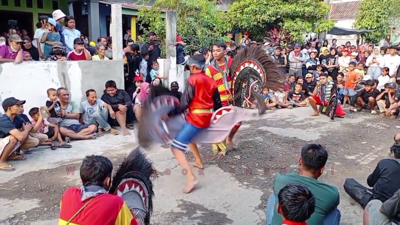 ndadi tak terkendali turonggo putro sejati live mojowangi mojowarno