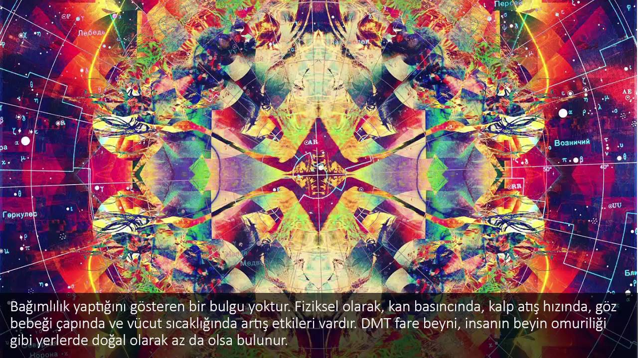 DMT(Dimetiltriptamin) Nedir, Ne Değildir ?