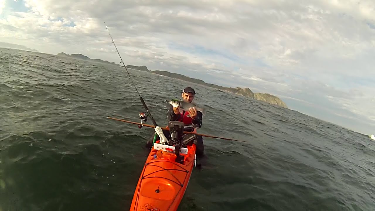 Róbalo con mar de fondo