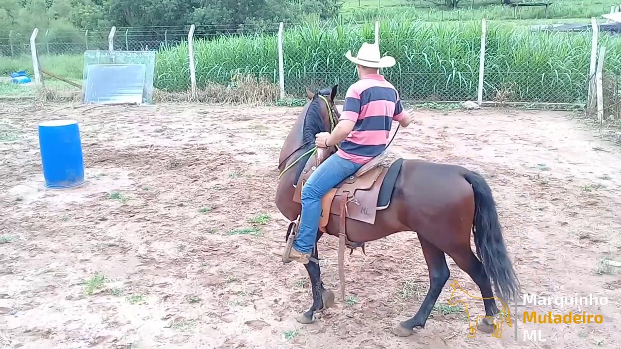 Como fechar redea de cavalo ou redea de pesco&ccedil;o