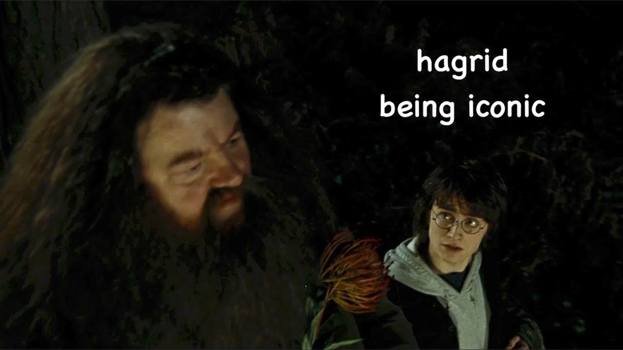 rubeus hagrid being iconic