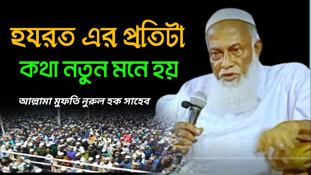 আল্লামা মুফতি নুরুল হক সাহেবের প্রতিটি কথায় নতুন মনে হয়। Allama Mufti Noorul Haque