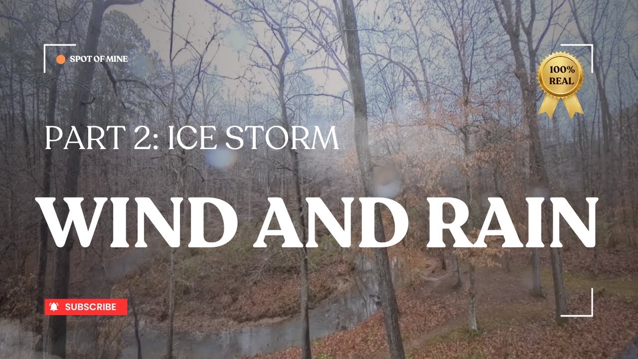 Calm Wind to Gentle Rain 🌬️🌧️ Creek Nature Sounds (27 Minutes, Real Time)