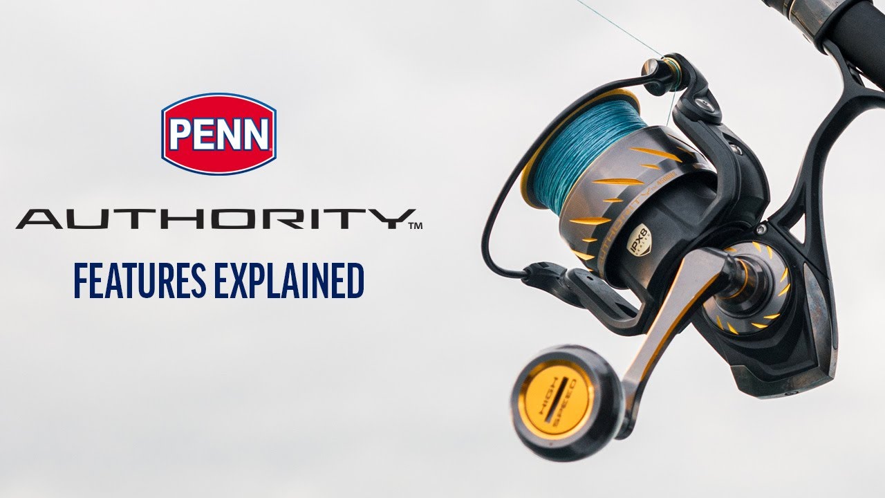 PENN Authority | A Deep Look into Authority Features