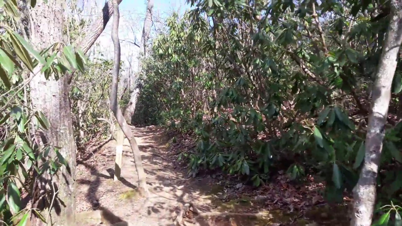 finishing Moore's Knob Loop along lake.