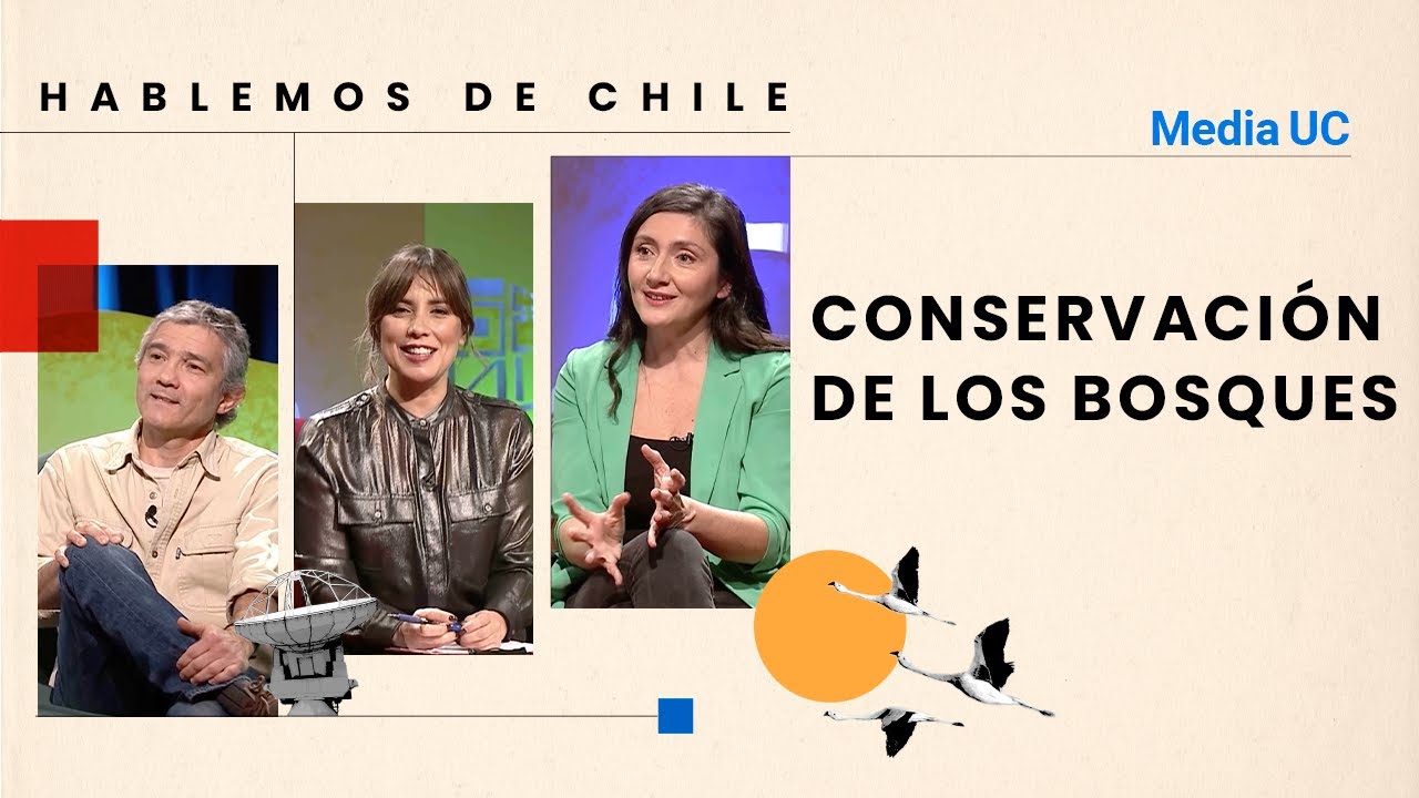 Conservación de los bosques | Hablemos de Chile