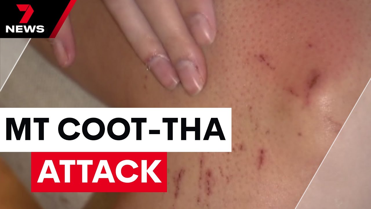 Manhunt underway following second Mt Coot-tha attack | 7 News Australia