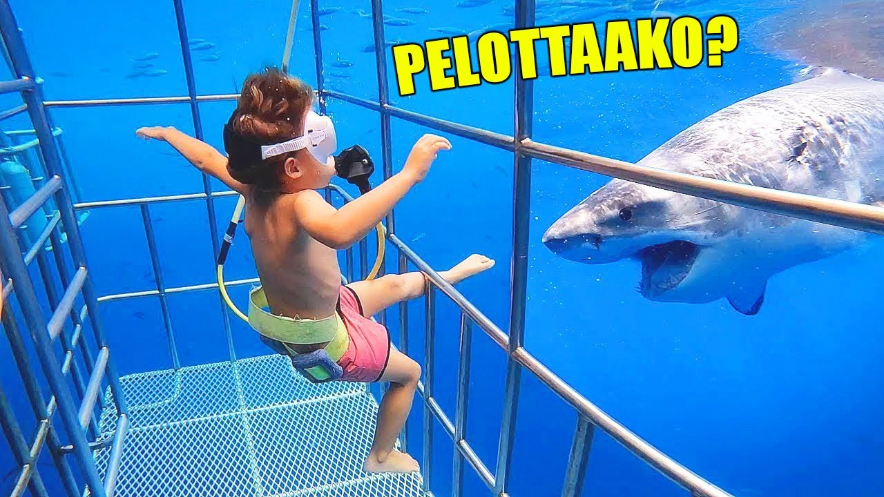 Nämä uima-altaat ovat liian pelottavia...