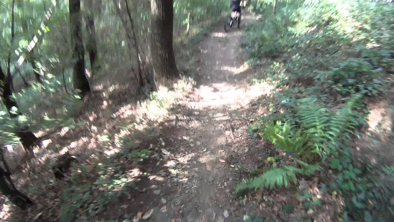 MTB_Siebengebirge_Singletrail.MP4