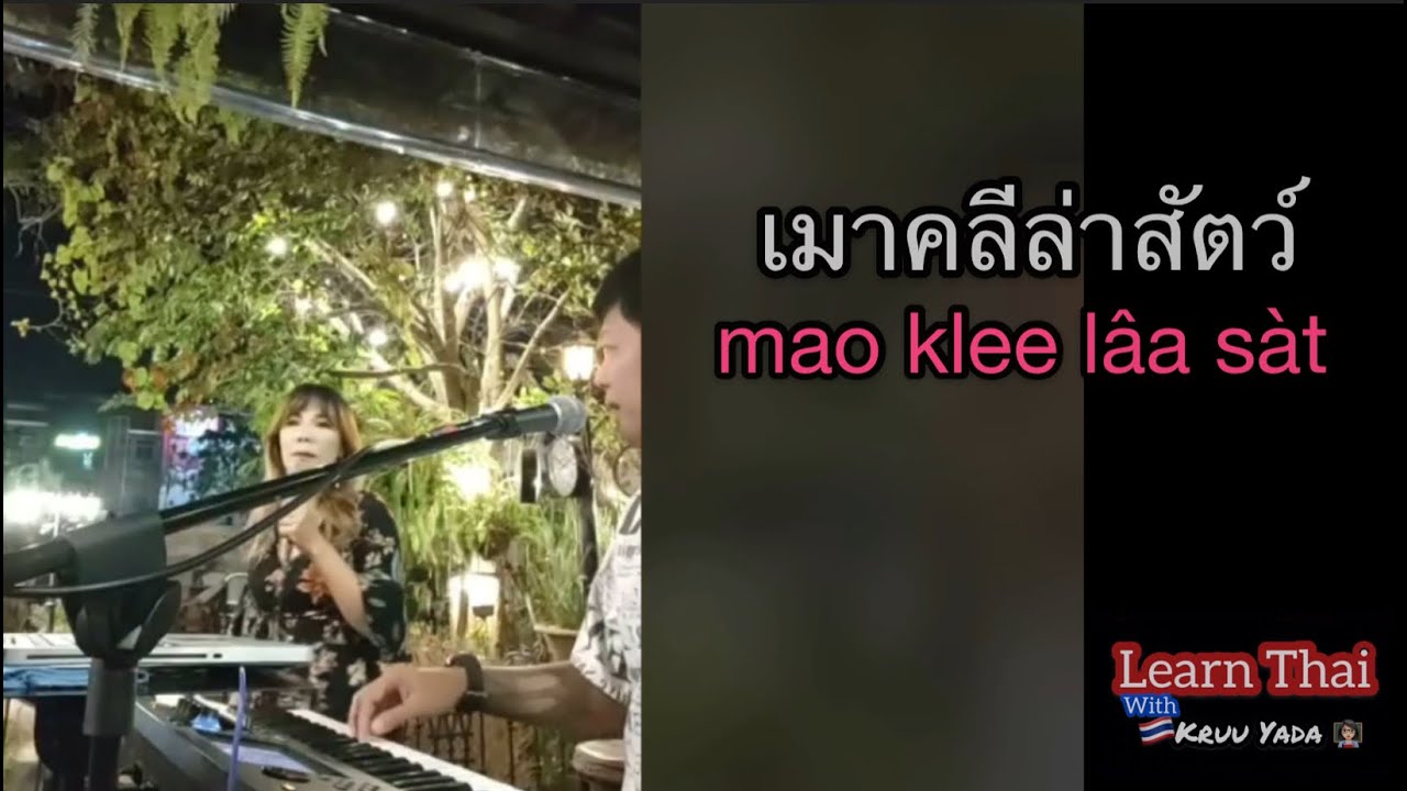 เมาคลีล่าสัตว์ (mao klee l&acirc;a s&agrave;t) - Thai song from scout camp by Kruu Yada