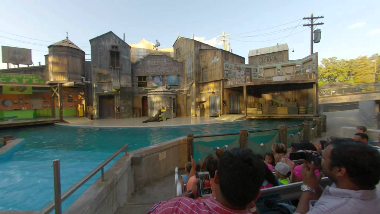 Sea World San Antonio Sea Lions Tonight, 3rd show 8/31/14