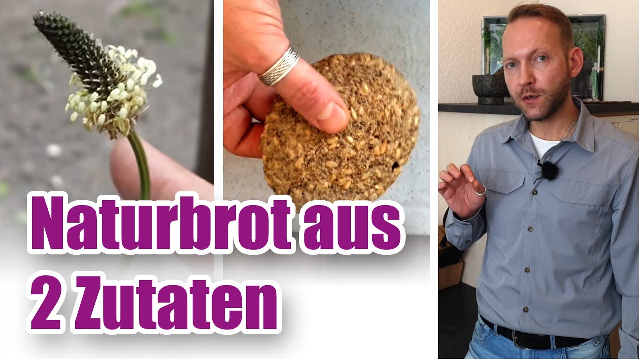 Glutenersatz mit Spitzwegerich: Brot aus nur 2 Zutaten! – Das Experiment 🌿🔬