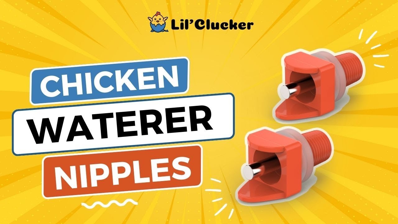 LIL'CLUCKER Horizontal Chicken Waterer Nipples (Easy Install, No Leak, and with free Drill Bits)