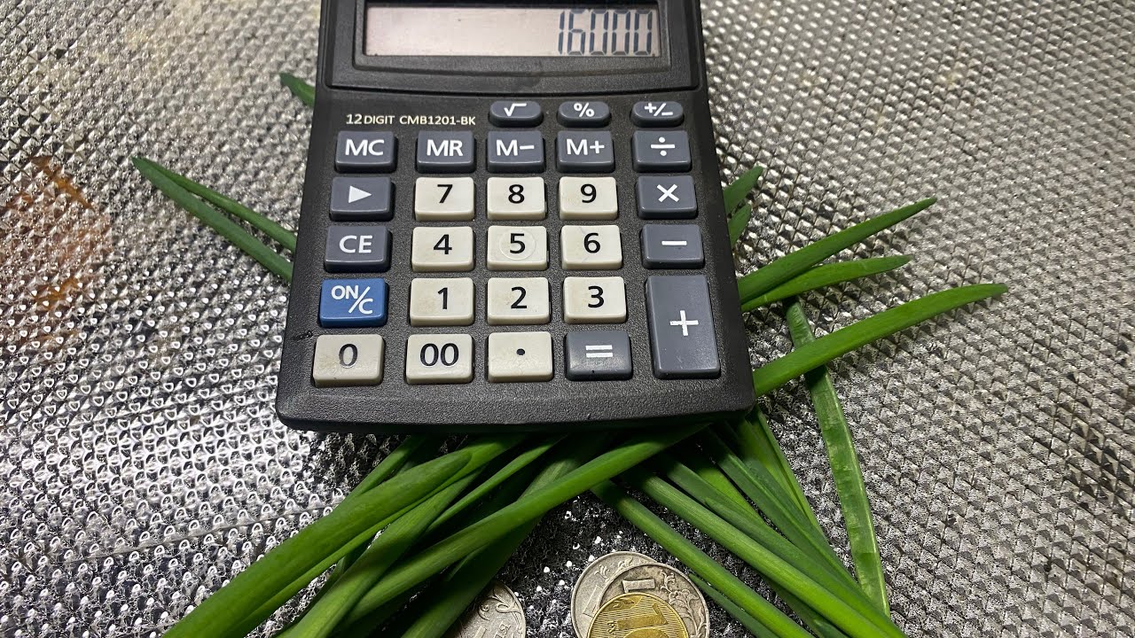 Лук на перо #24 💰💰💰подсчёт прибыли