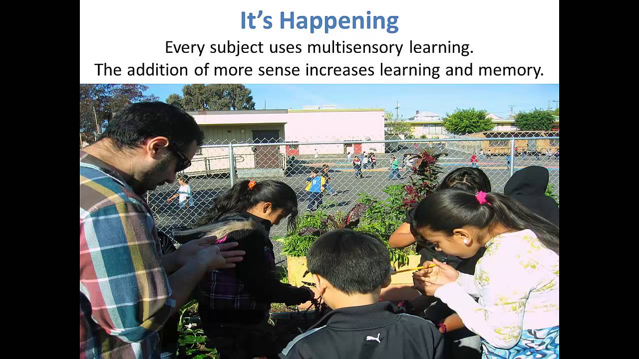 Multisensory Learning Video