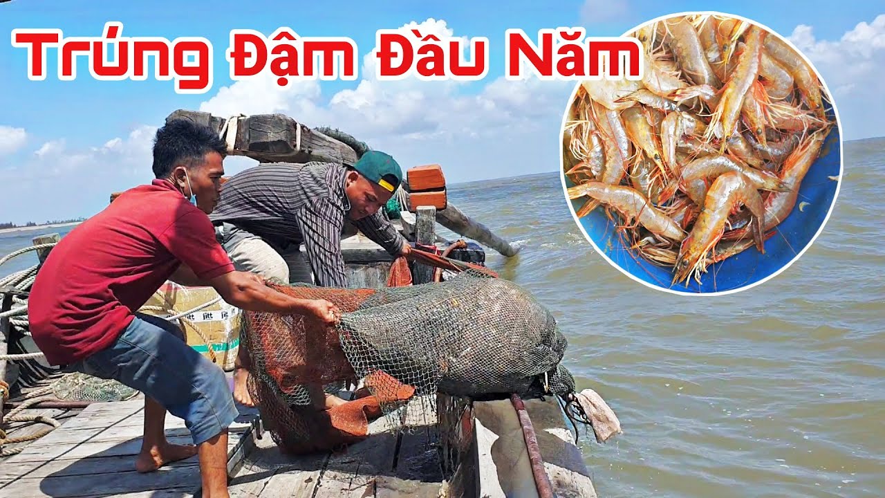 Ra Khơi Gặp Sóng Lớn BẤT NGỜ TRÚNG ĐẬM MẺ TÔM TO | Ngư Dân Miền Tây