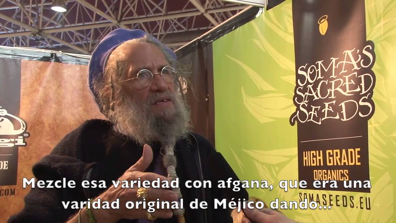 Spannabis 2013 Soma-seeds Interview. How was NEW YORK CITY DIESEL created!!