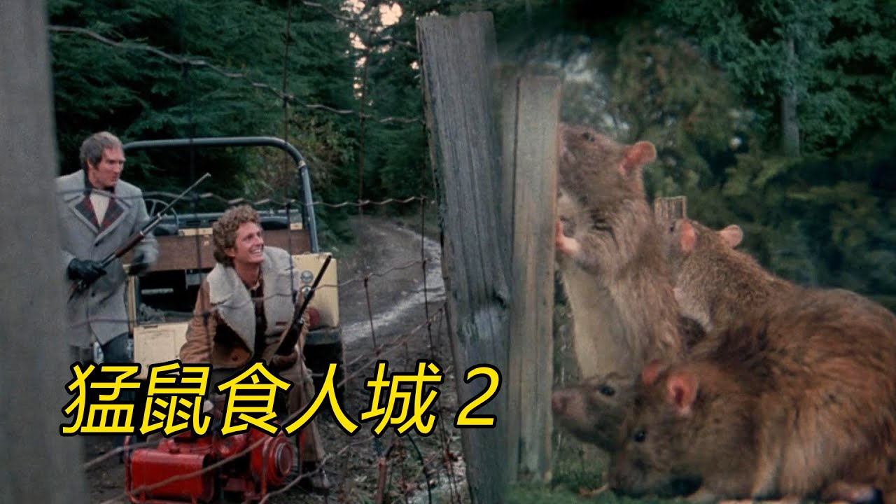 小镇老鼠吃了白色液体后，长得比老虎都还大，带领群鼠袭击人类，直接撞破车窗叼走司机，速看惊悚鼠患片《猛鼠食人城2》，公鸡食用怪异液体后你猜能长多大？ | 电影迷小莫