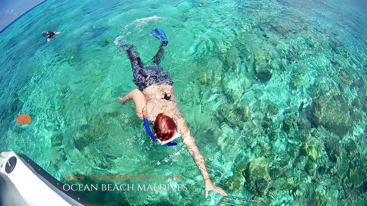 Snorkeling near Hangnaameedhoo, Maldives