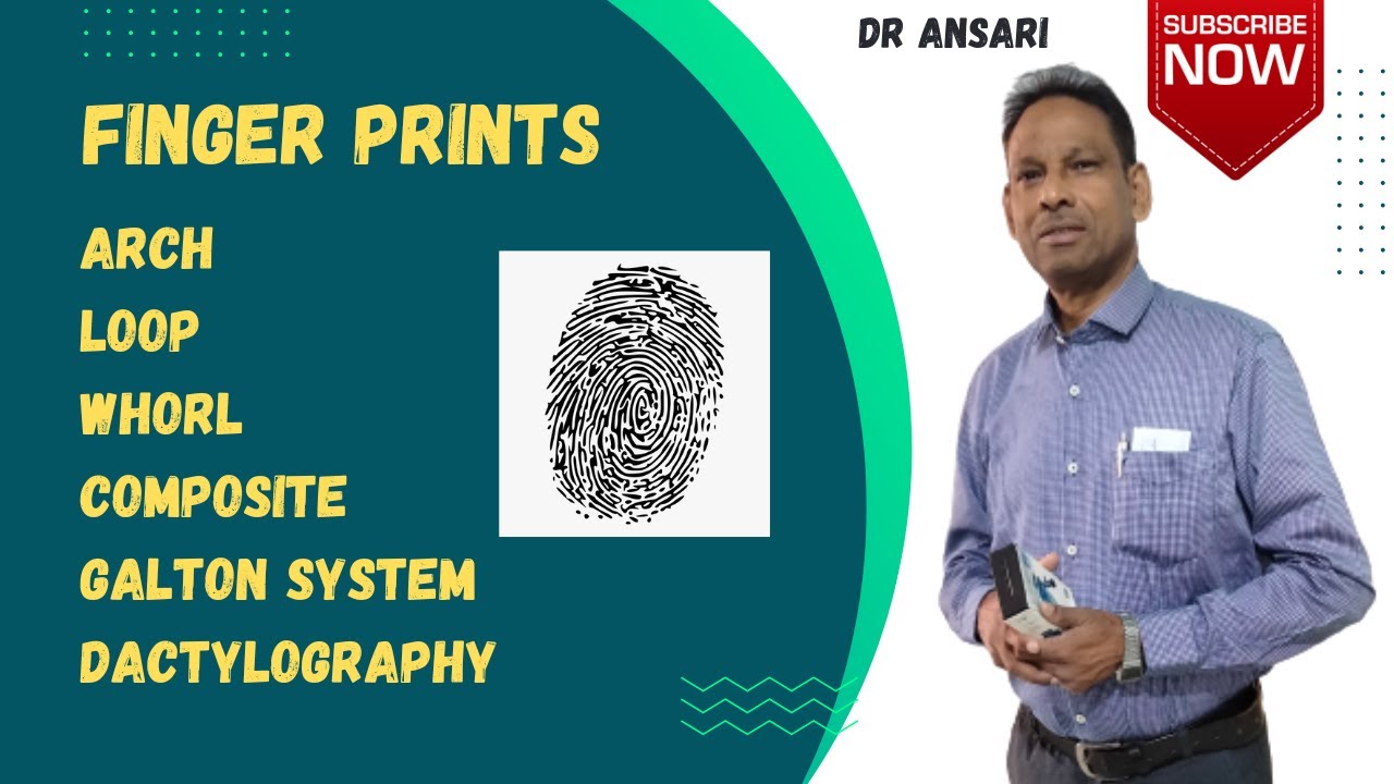 Finger prints | Galton system | Arch | Loop | Whorl | Dactylography | Composit | Compound