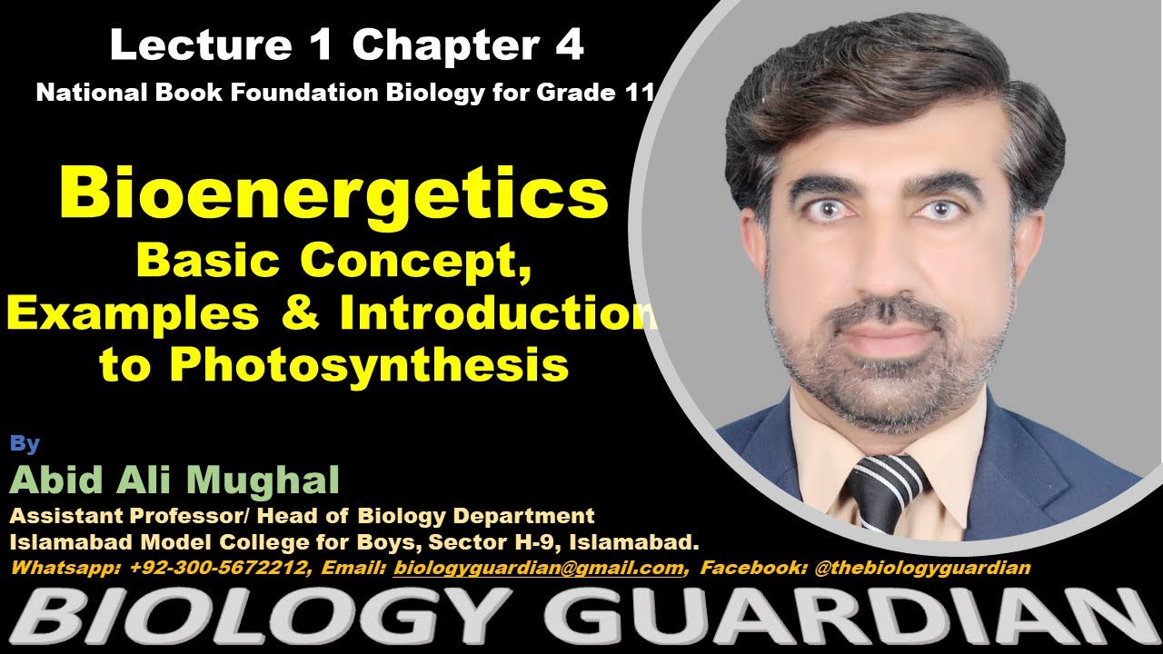 Bioenergetics (basic concept, examples & introduction to photosynthesis)Lecture 1 Ch-4 NBF Biology11