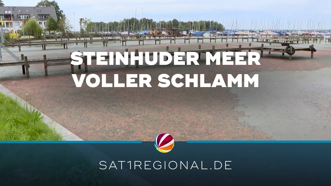 „Schlammassel“ am Steinhuder Meer