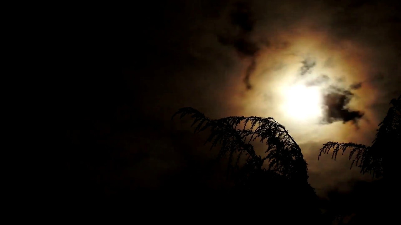 Zeitraffer Compilation 2016 - Timelapse Nikon P900