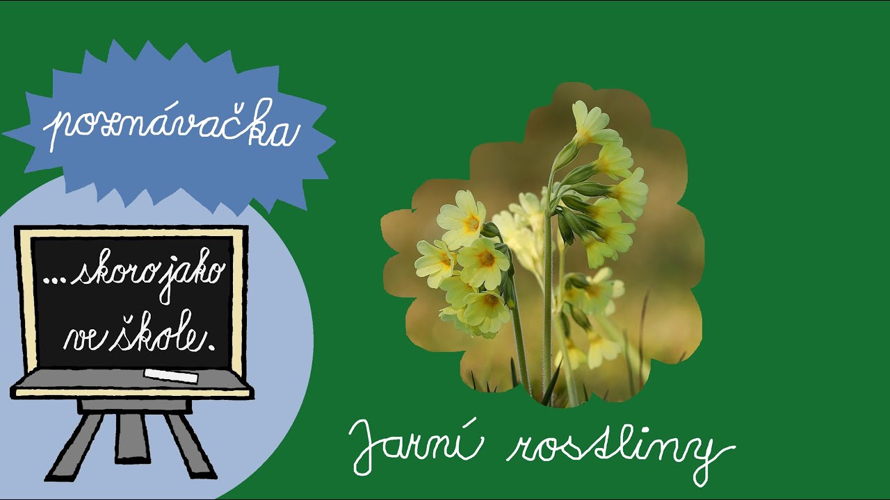 Rostliny na jaře