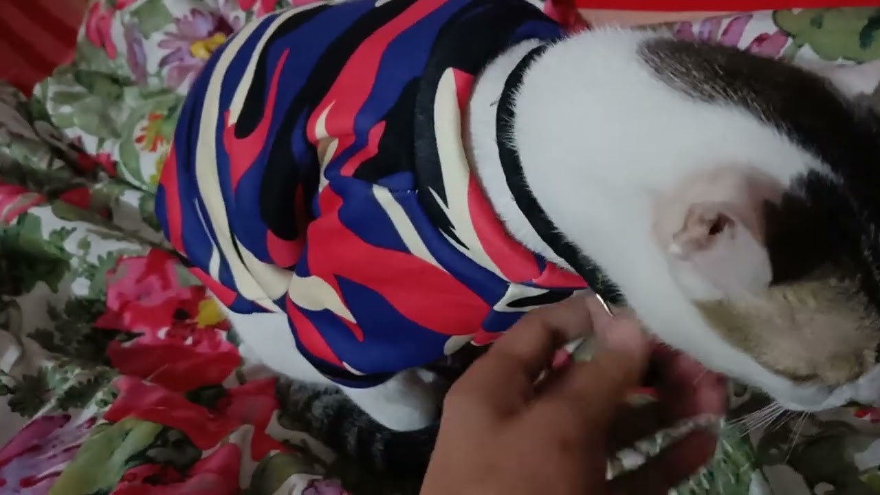  নতুন বছরের নতুন জামা কেমন হয়েছে👚👚👚