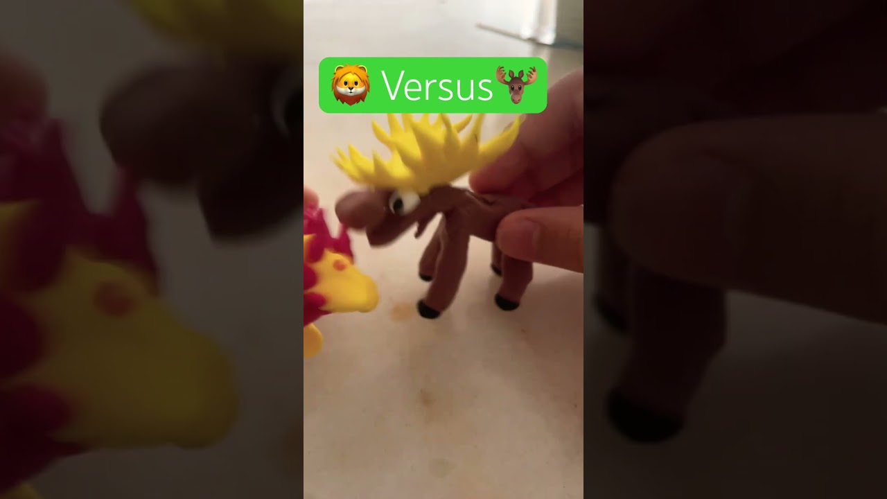 Lion vs Moose (Shorts) #Dexuswild
